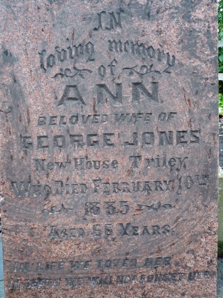 Ann Jones D 1885.jpg