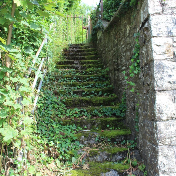 footpath steps from A470.JPG