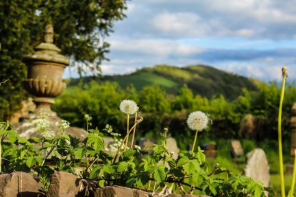 20211212203135-15804be5 - Copy