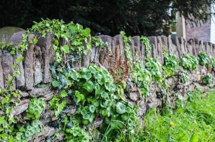 20211212203136-085257d8