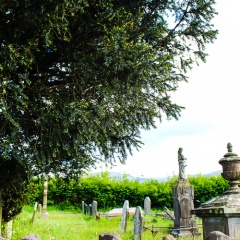 20211212203316-f1f12a32