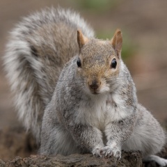 20211212203536-00fd1795