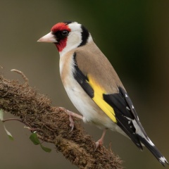 20211212203535-23700d7c