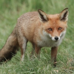 20211212203535-69a93fc8