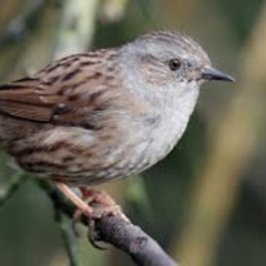 20211212203535-75faf531