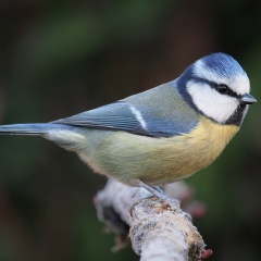 20211212203533-60d3bf0a