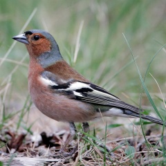 20211212203534-a62de5c1