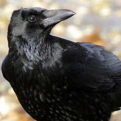 20211212203534-db3f3c17