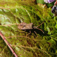 20211212203533-9e459f71