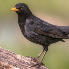 20211212203532-242916a7