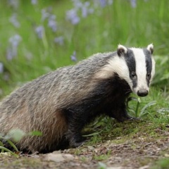 20211212203530-f0593851