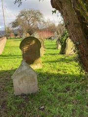 graves accessible under yew tree