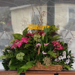 2024 Flower Festival Our Environment